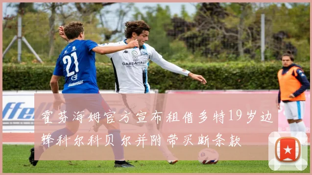 霍芬海姆官方宣布租借多特19岁边锋科尔科贝尔并附带买断条款