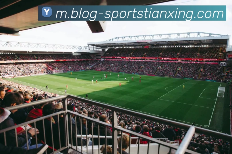 天行体育发展历程